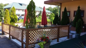 Before Ketcham Fence