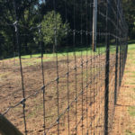 Black Deer Fence