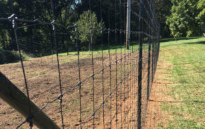 Black Deer Fence
