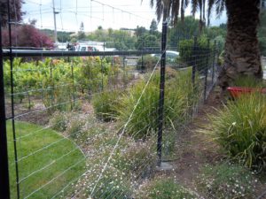 Graduated Deer Fence