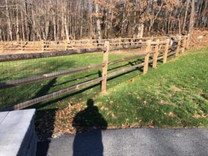 Split Rail with Welded Wire